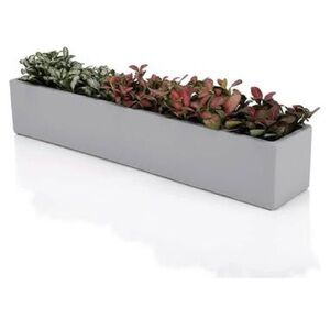 🎈 Concrete Succulent Planter with Drainage
